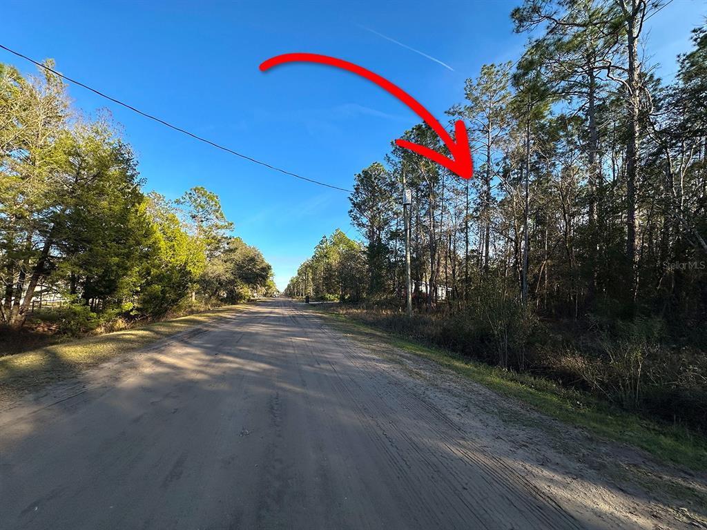 428 Division Street Hastings, FL 32145 - Photo 5 of 22