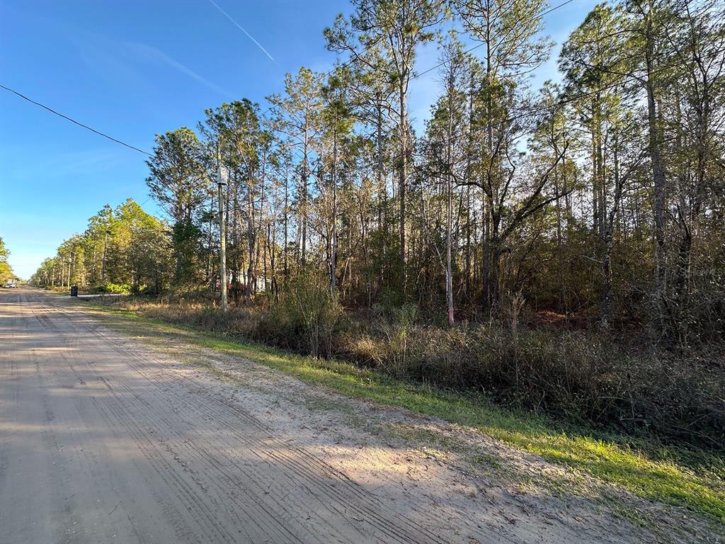 428 Division Street Hastings, FL 32145 - Photo 6 of 22