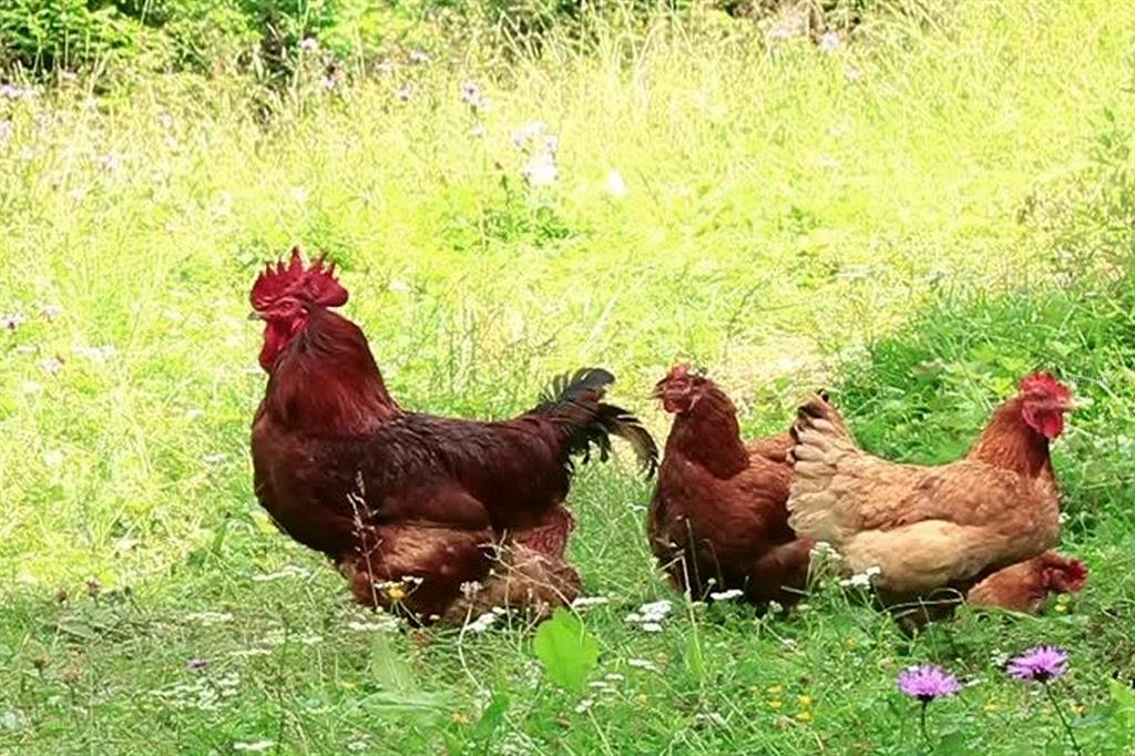 428 Division Street Hastings, FL 32145 - Photo 10 of 22