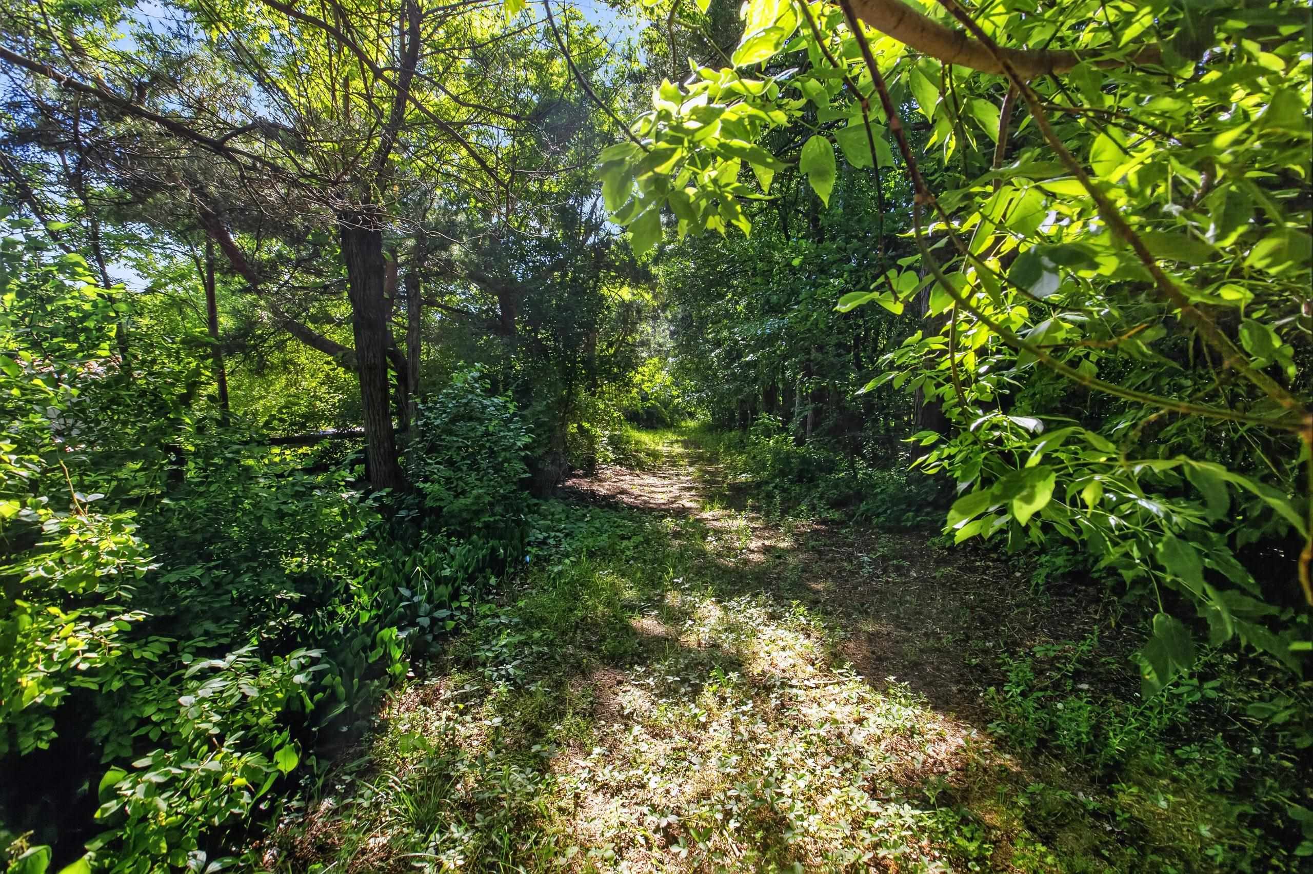 2248 Vickory Road Caro, MI 48723 - Photo 43 of 60