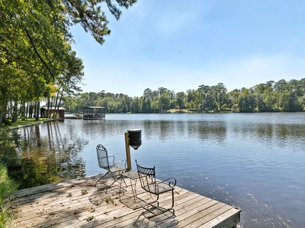 a lake with a bench and large trees