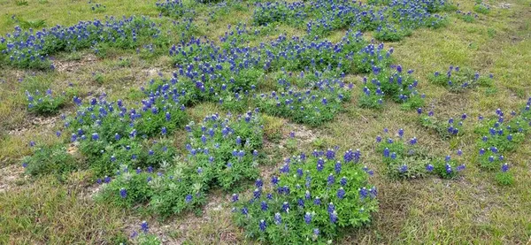 $100,000 | 3031 Farm To Market 275, Cumby, TX 75433