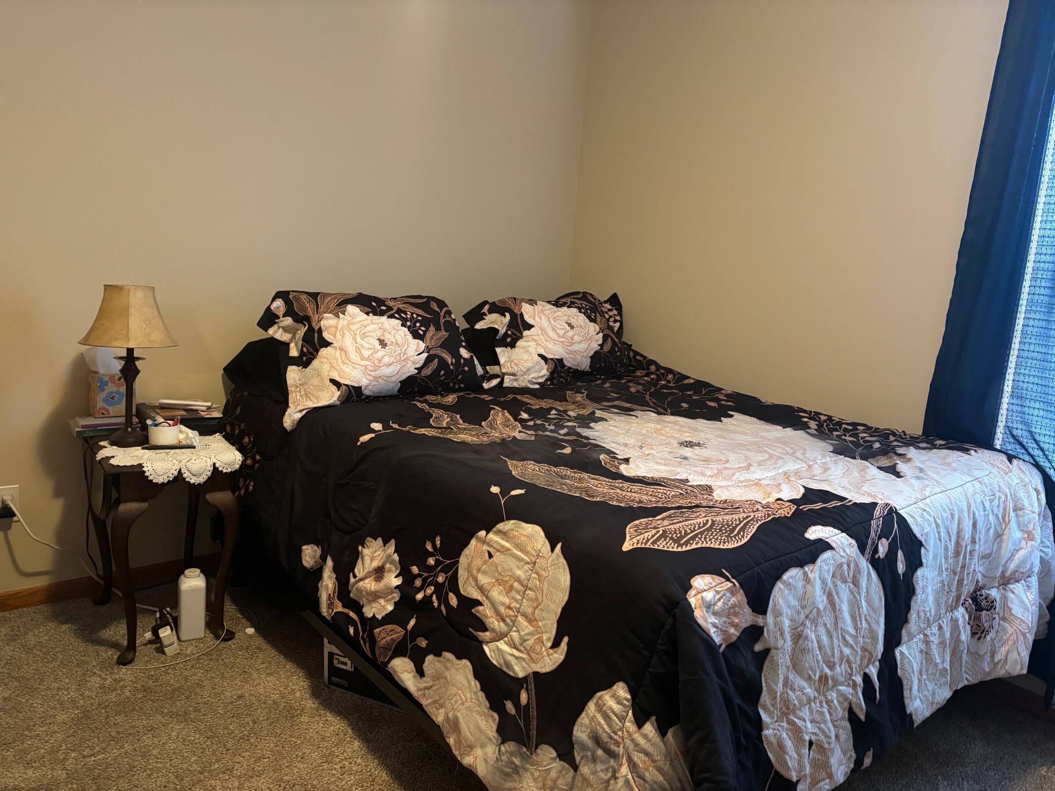 25580 Pine Ridge Road Zimmerman, MN 55398 - Photo 12 of 13