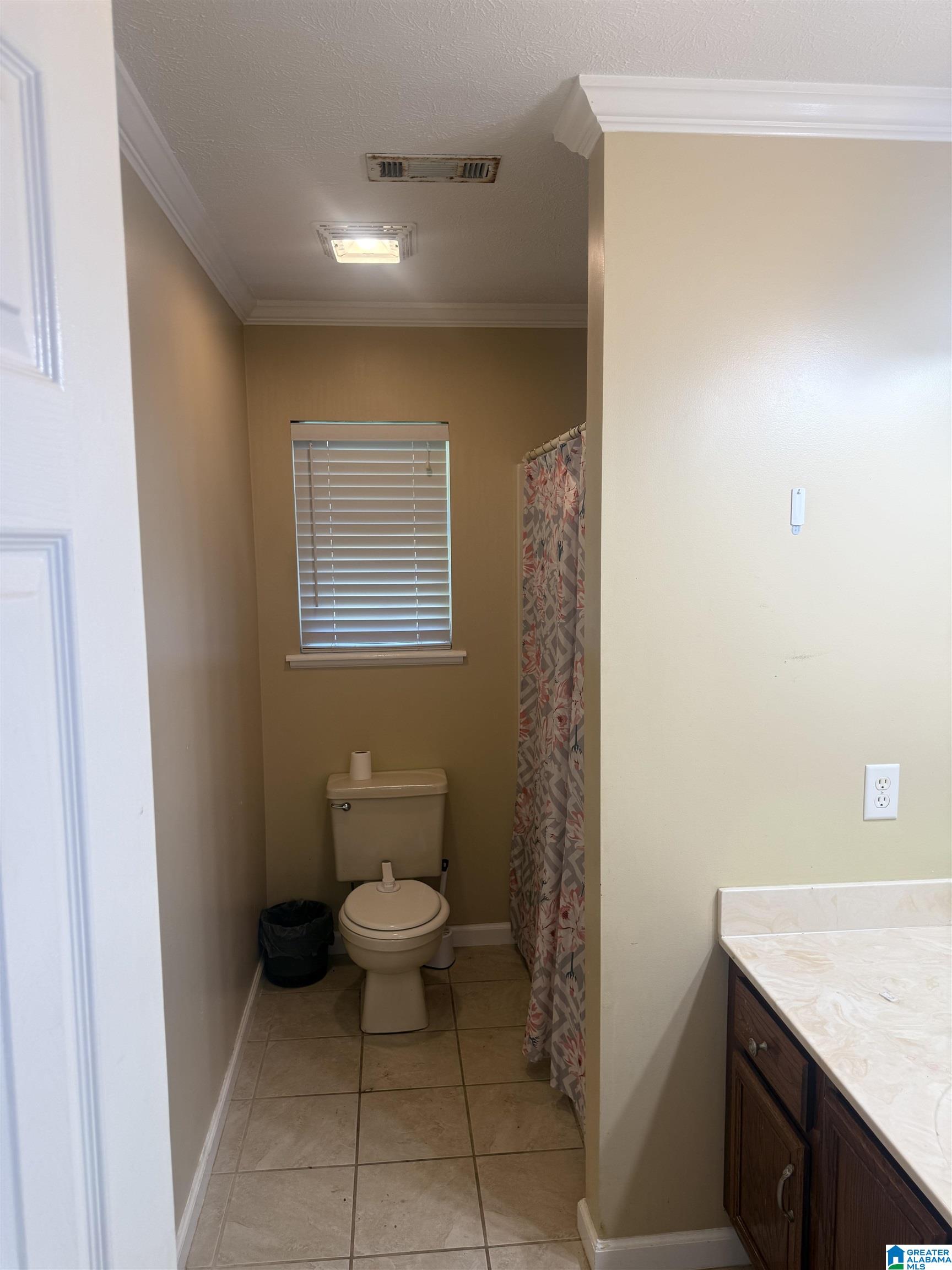 61 Raintree Lane Ashland, AL 36251 - Photo 2 of 16