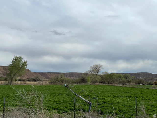240 Horseshoe Bend Road Vernal, UT 84078 - Photo 29 of 41 View of hay field