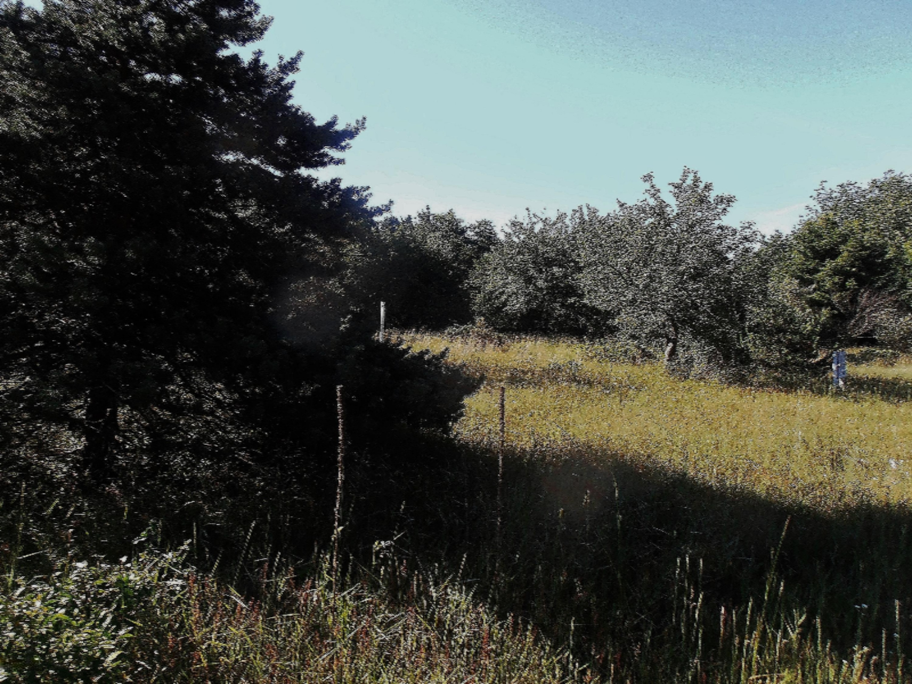 2543 Red Apple Road Manistee, MI 49660 - Photo 3 of 5 P7030256