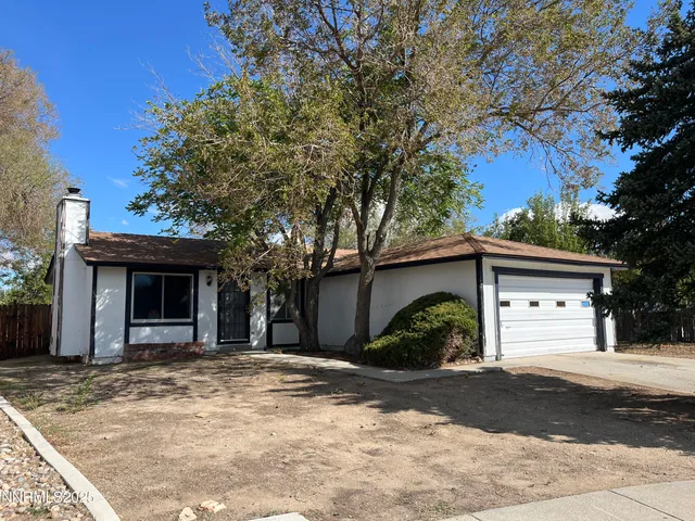 a view of a yard with plants and trees