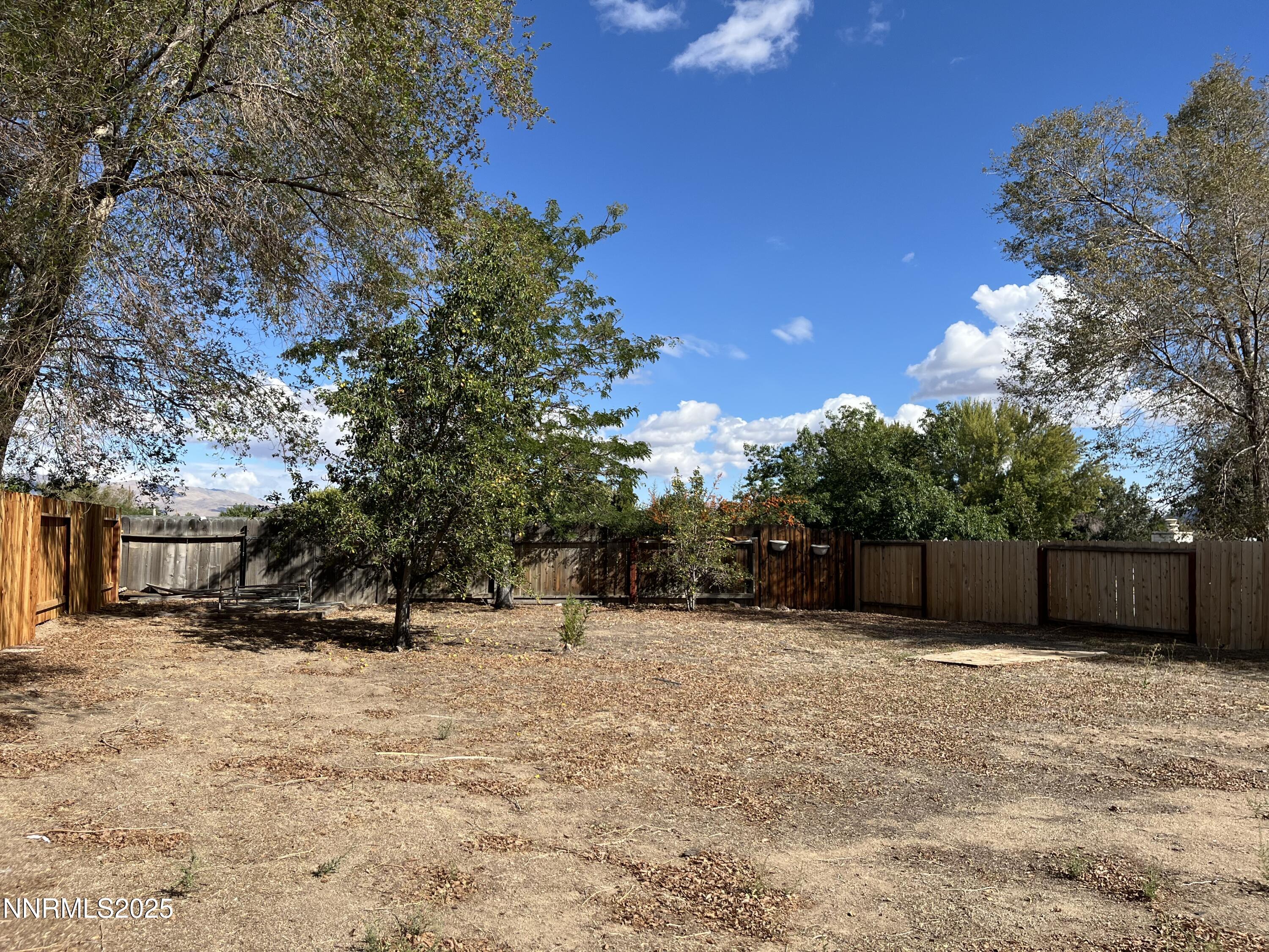 11019 Bornite Court Reno, NV 89506 - Photo 27 of 30 a view of a backyard of the house