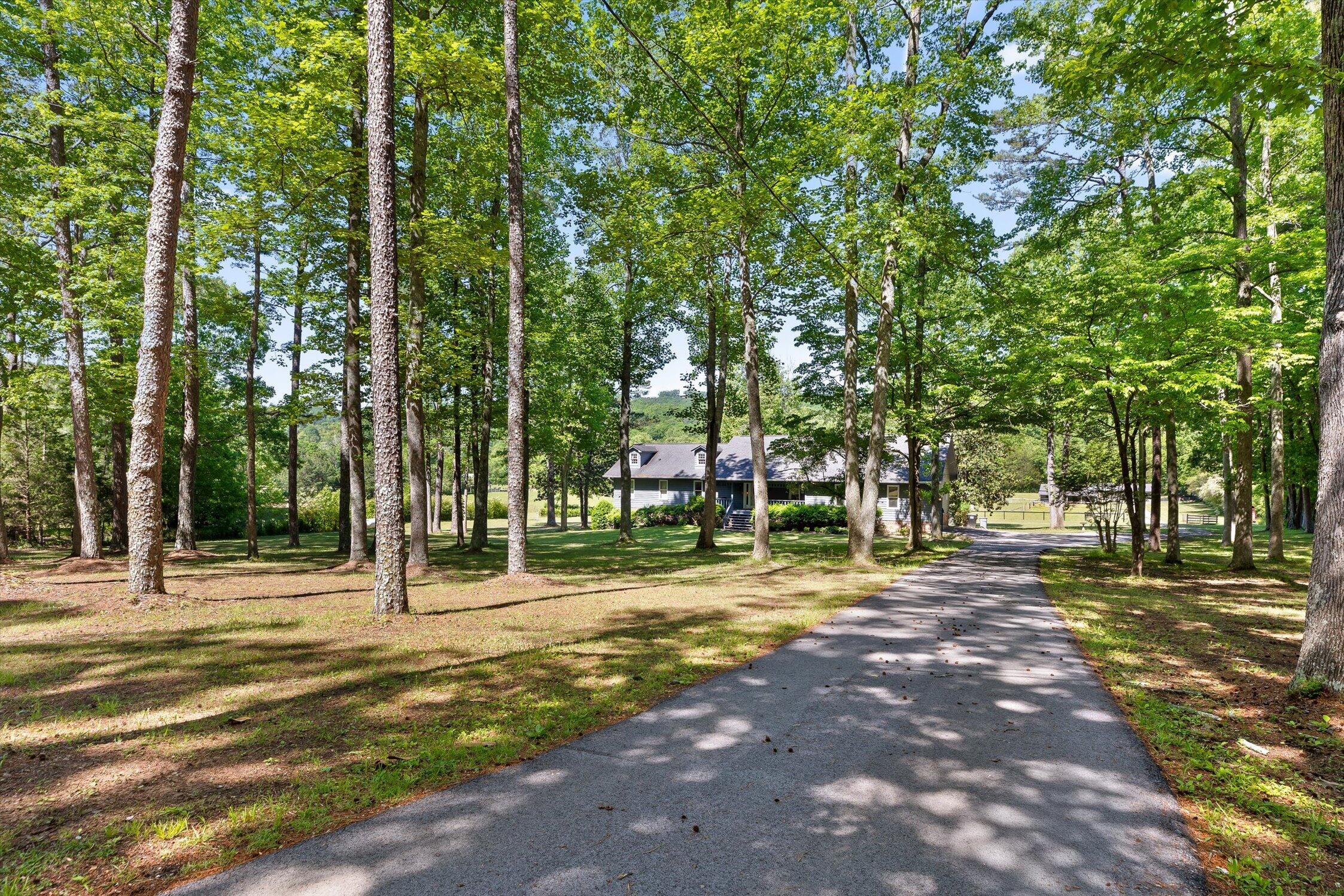 7117 White Oak Valley Road McDonald, TN 37353 - Photo 5 of 67 7117 White Oak Valley Road