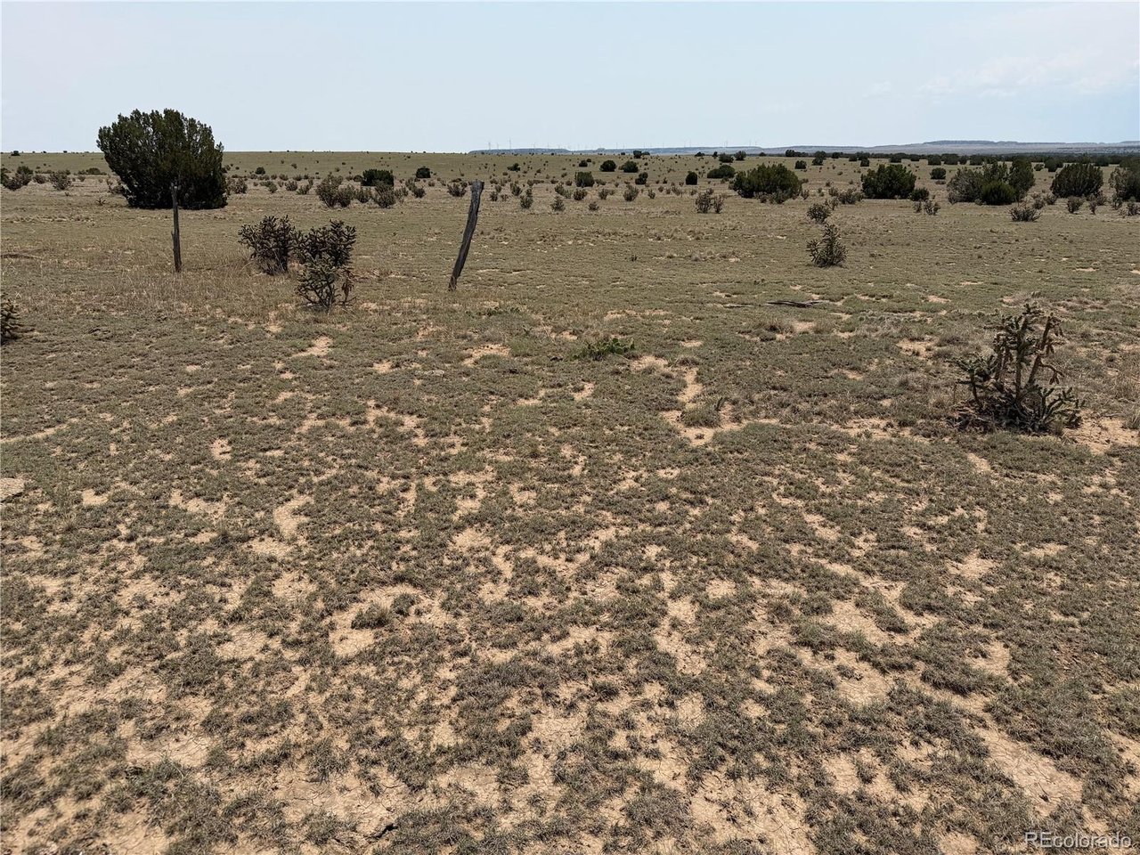 167 Tyrone Hills Ranch Walsenburg, CO 81089 - Photo 7 of 14