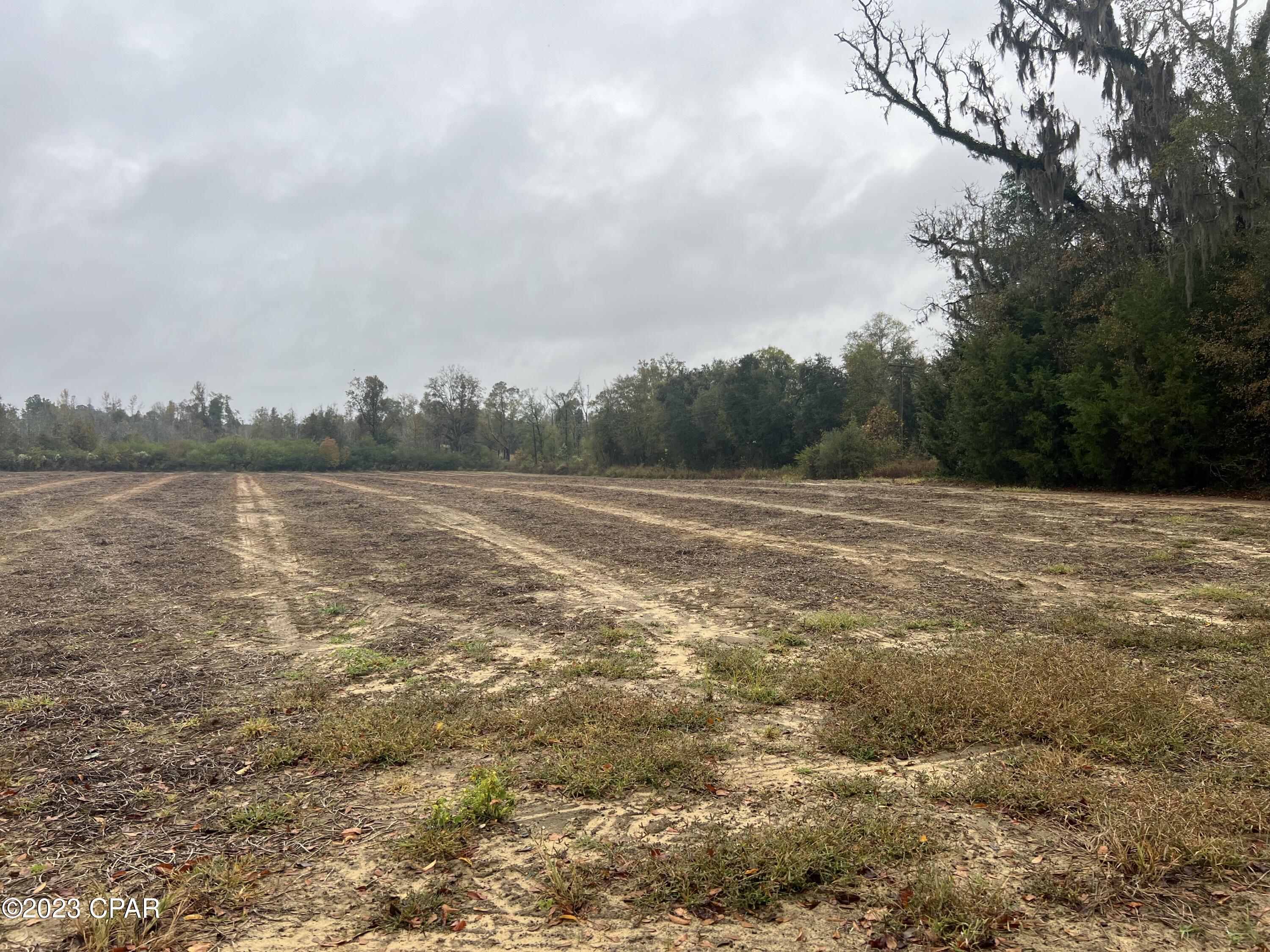 0 Sapp Road Cottondale, FL 32431 - Photo 2 of 8