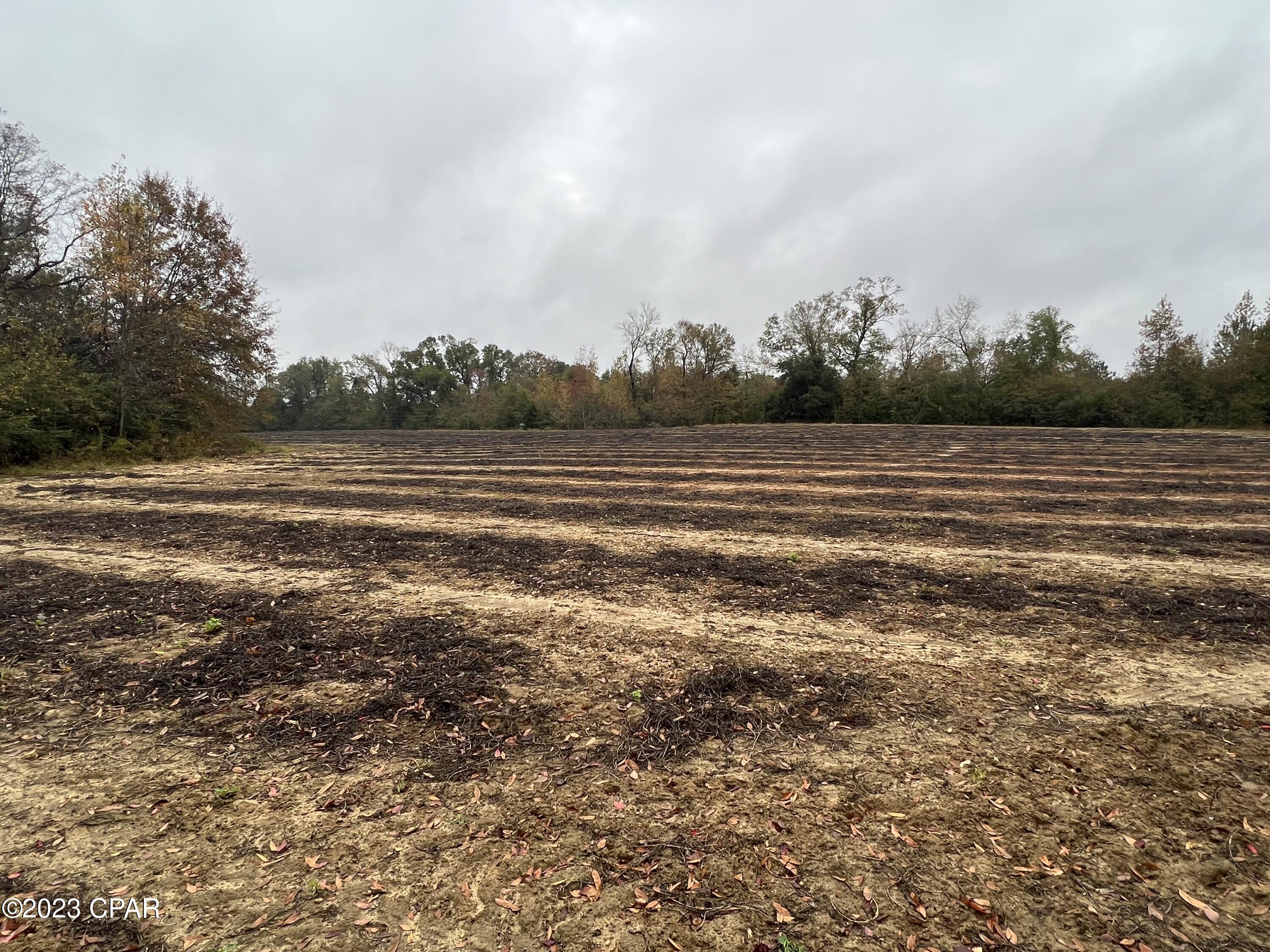 0 Sapp Road Cottondale, FL 32431 - Photo 3 of 8