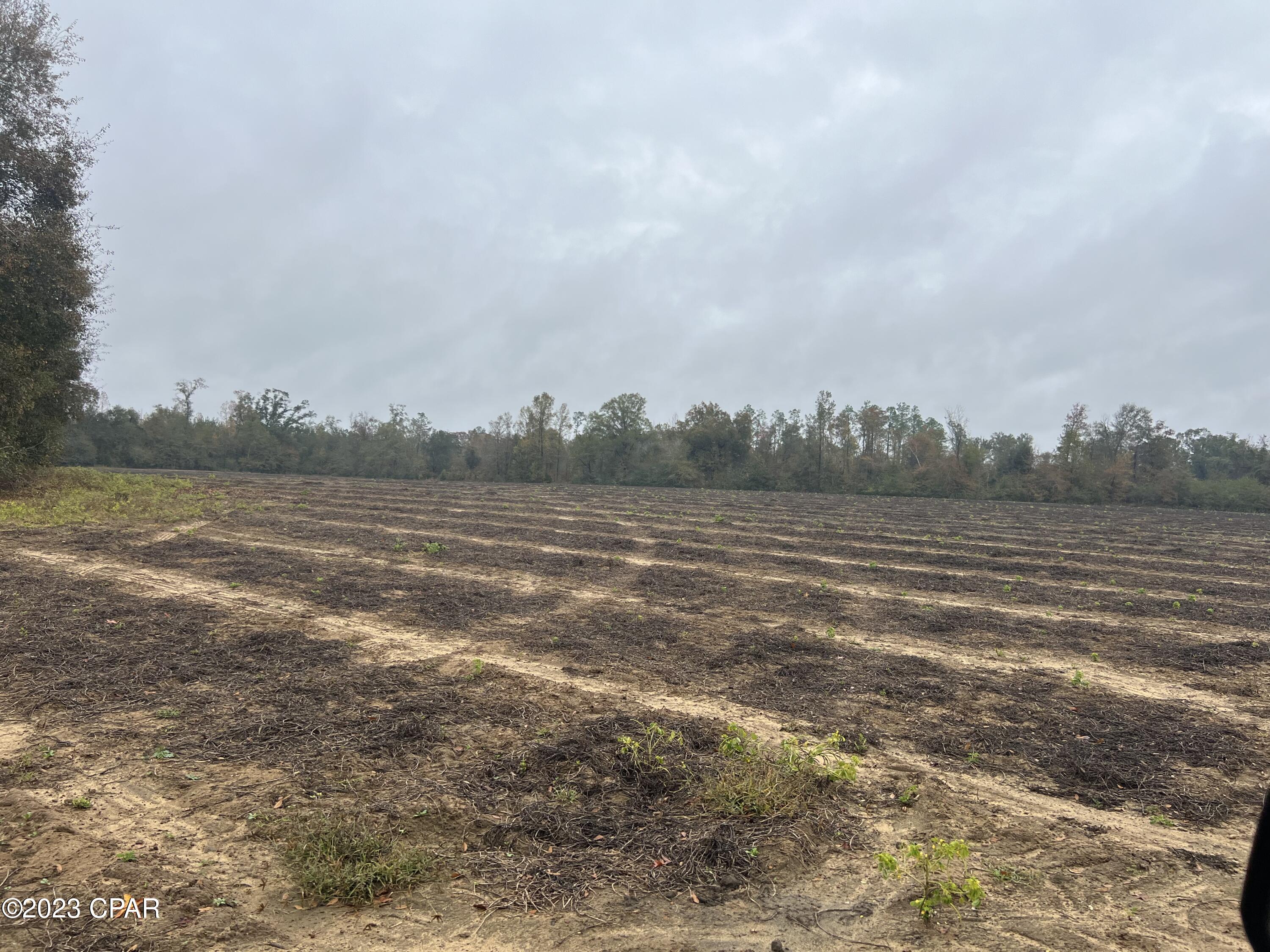 0 Sapp Road Cottondale, FL 32431 - Photo 5 of 8