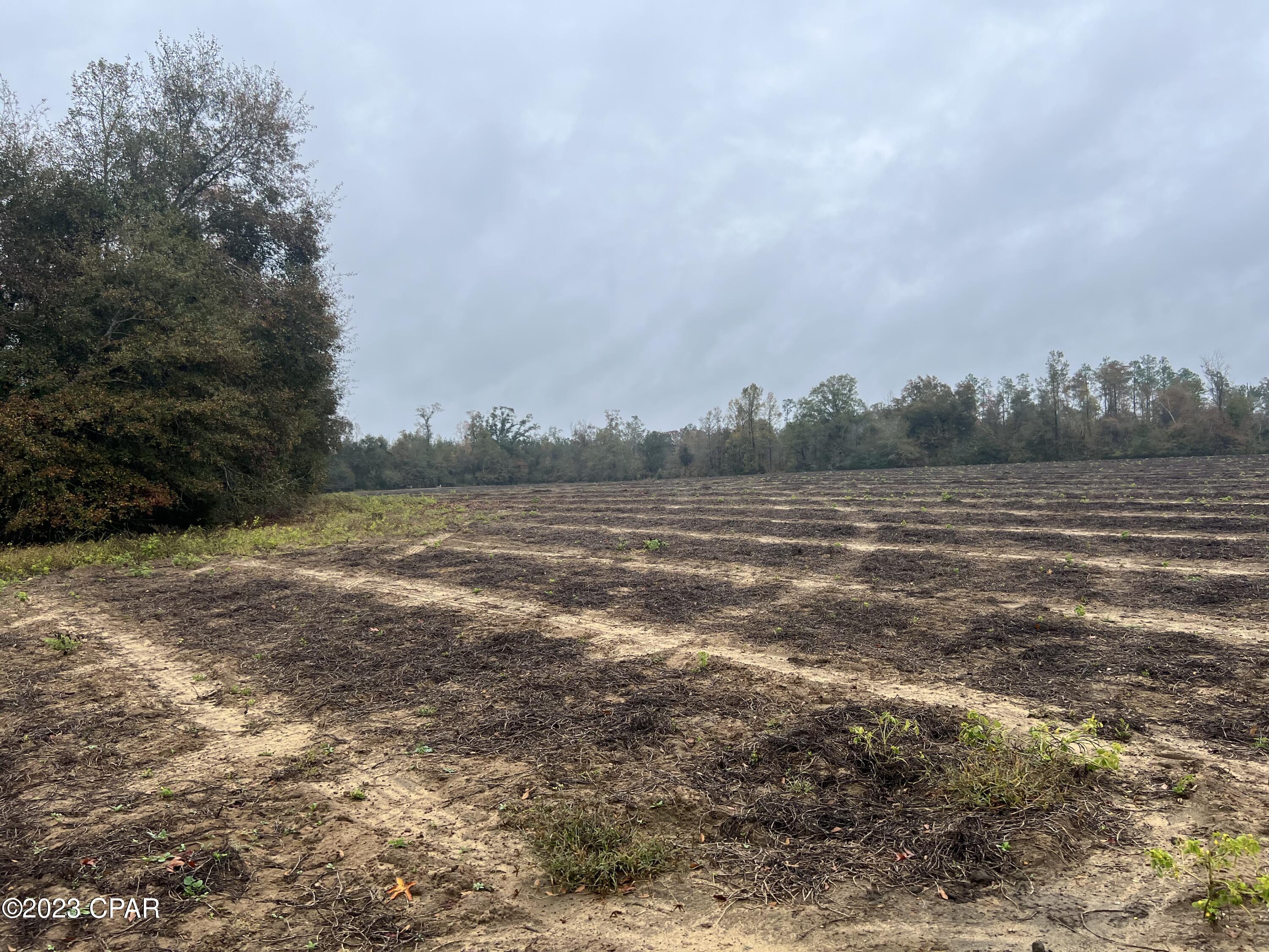 0 Sapp Road Cottondale, FL 32431 - Photo 6 of 8