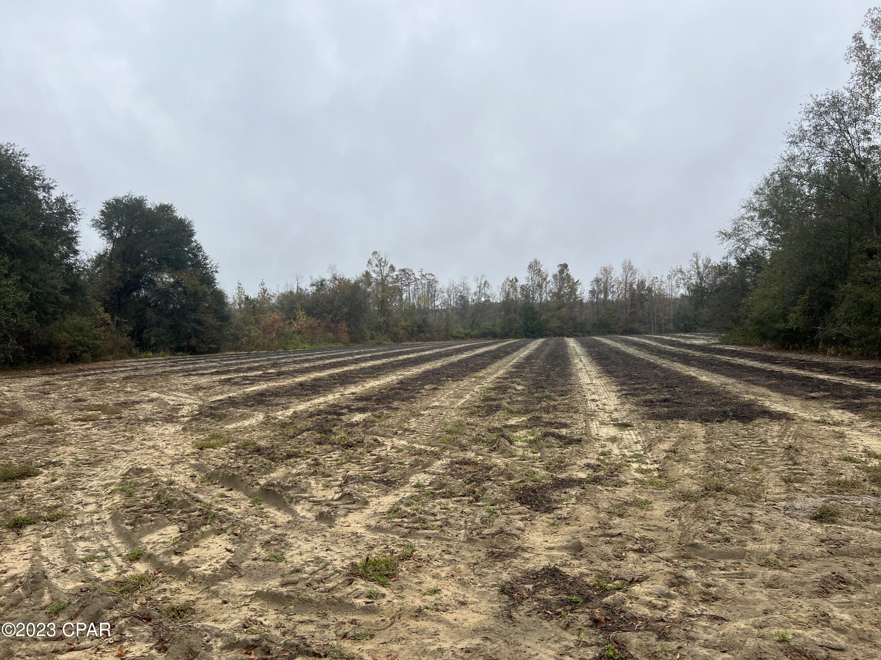 0 Sapp Road Cottondale, FL 32431 - Photo 7 of 8