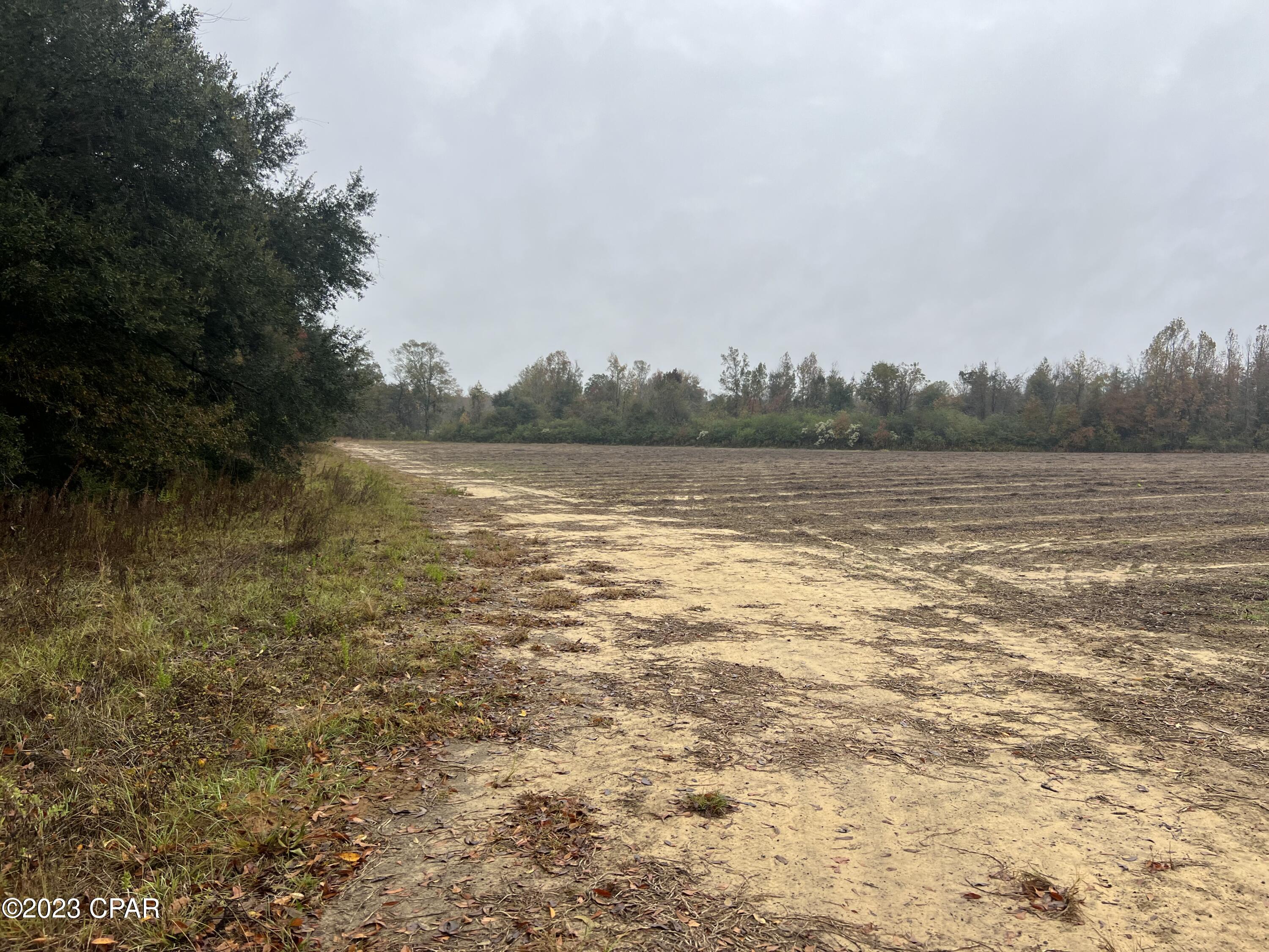 0 Sapp Road Cottondale, FL 32431 - Photo 8 of 8