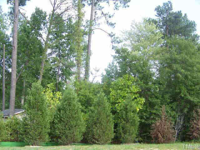 3741 Tryon Ridge Drive Raleigh, NC 27610 - Photo 5 of 6 Lot backs up to some trees which offers privacy for your and your family.