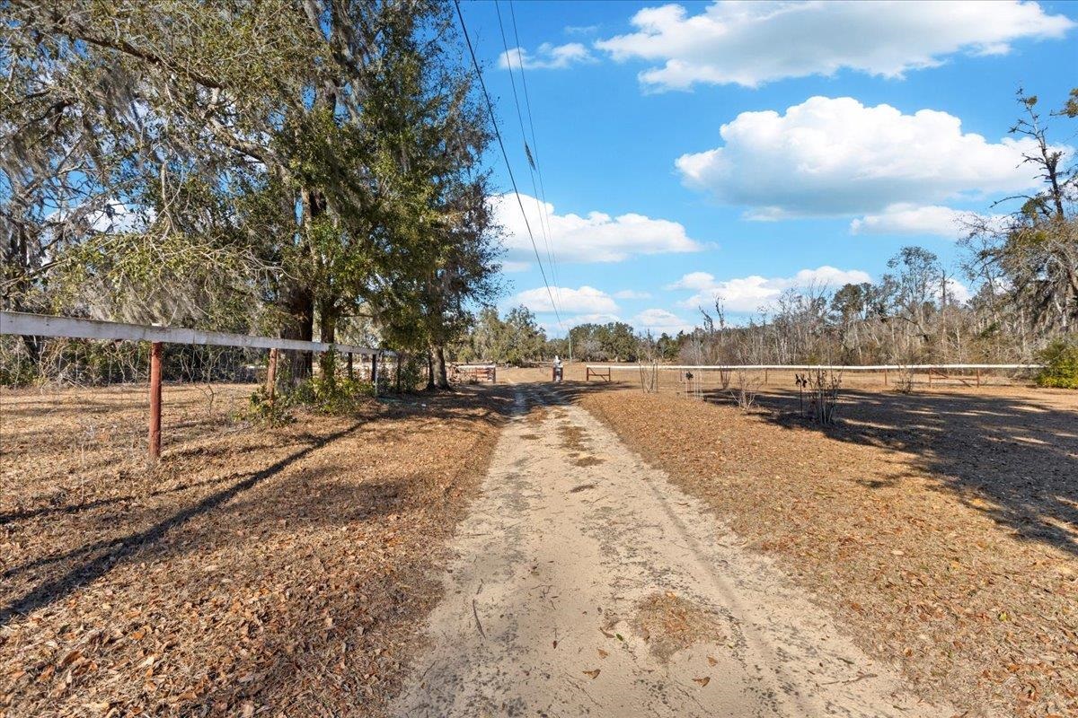 1914 Jim Clark Road Madison, FL 32340 - Photo 24 of 67