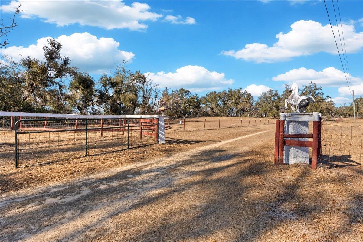 1914 Jim Clark Road Madison, FL 32340 - Photo 25 of 67