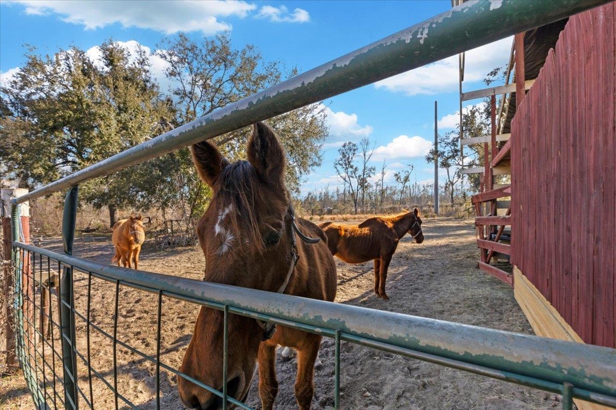 1914 Jim Clark Road Madison, FL 32340 - Photo 33 of 67