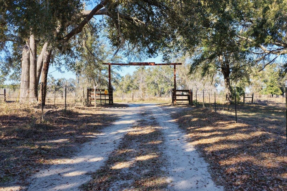 1914 Jim Clark Road Madison, FL 32340 - Photo 41 of 67