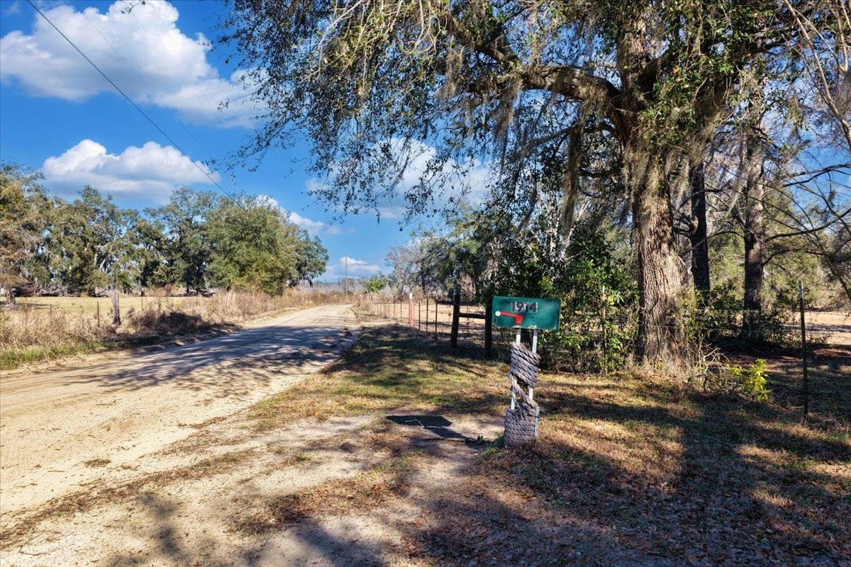 1914 Jim Clark Road Madison, FL 32340 - Photo 42 of 67
