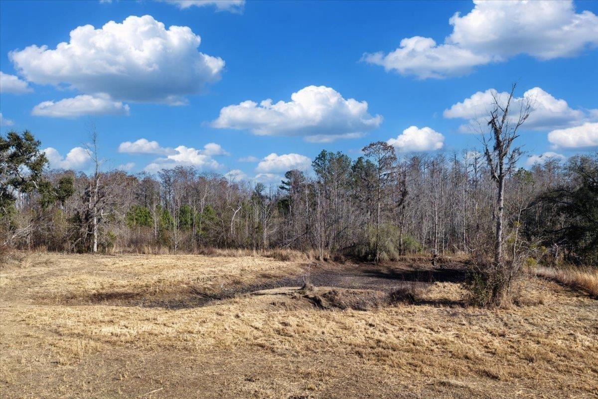 1914 Jim Clark Road Madison, FL 32340 - Photo 53 of 67