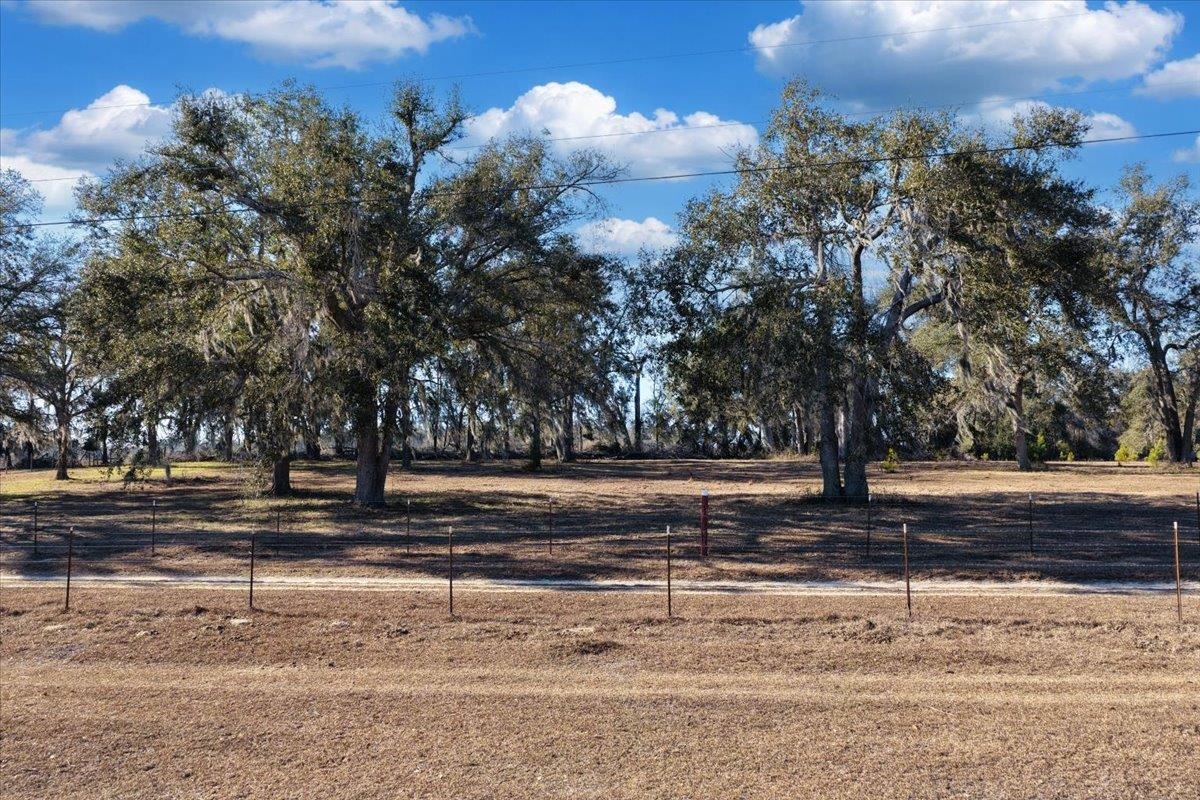 1914 Jim Clark Road Madison, FL 32340 - Photo 57 of 67