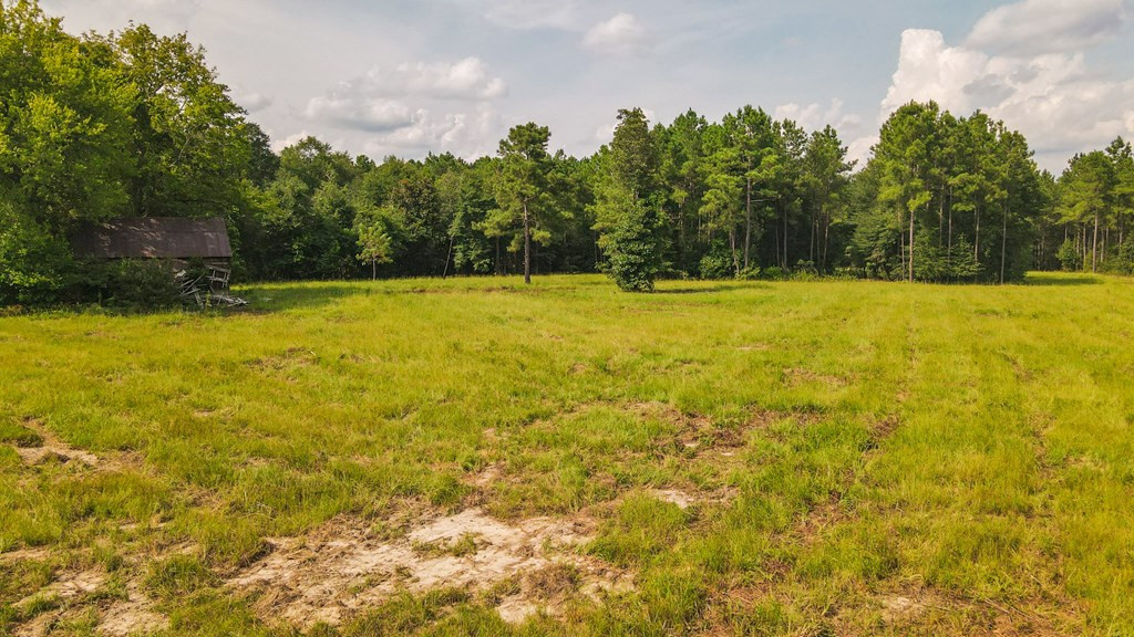 241 Voyager Road Salley, SC 29137 - Photo 27 of 31