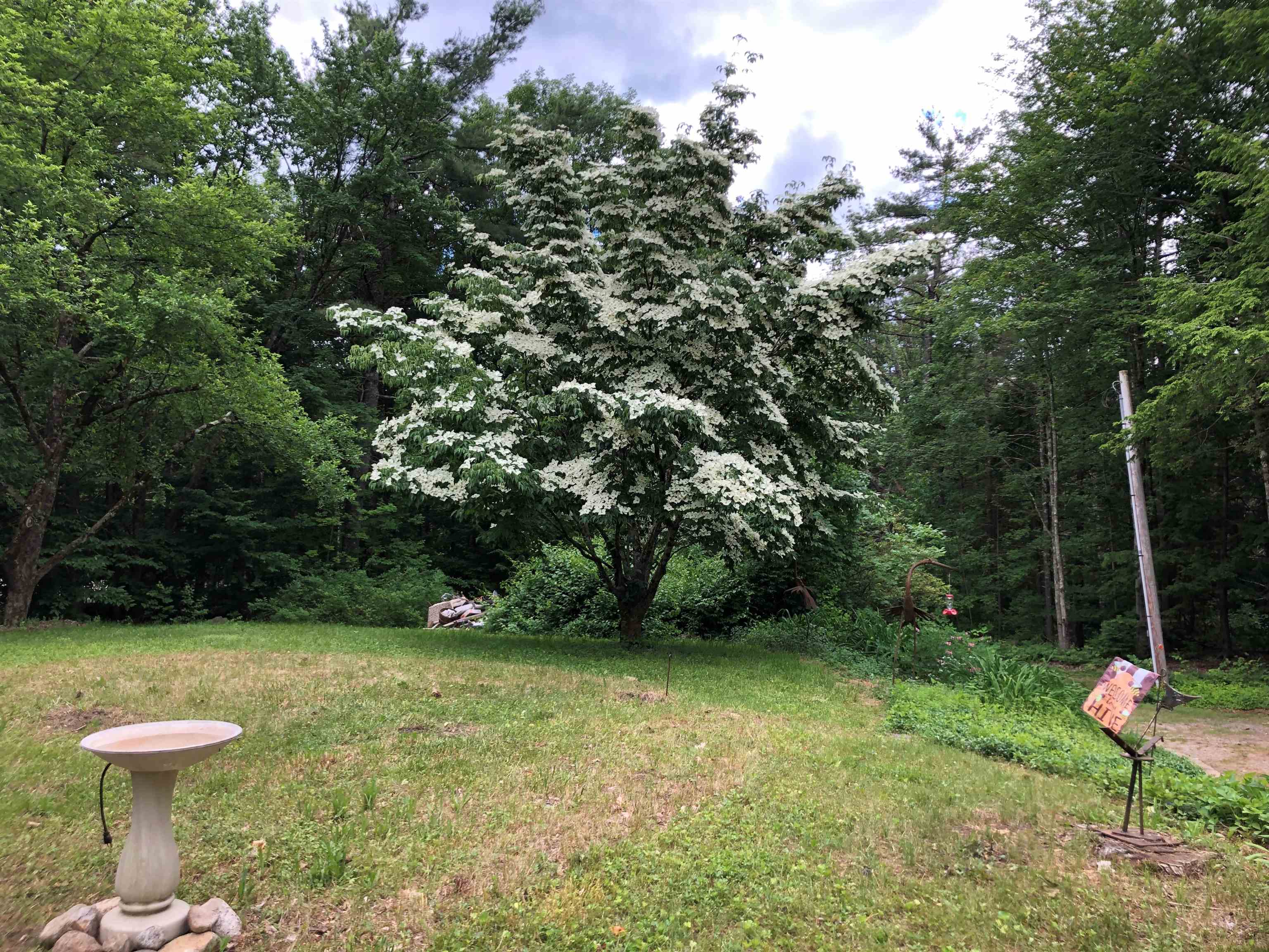 540 Forest Road Lyndeborough, NH 03082 - Photo 23 of 29
