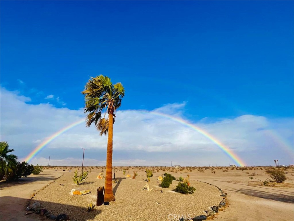 83683 Amboy Road Twentynine Palms, CA 92277 - Photo 2 of 22 a vase of flowers sitting on a table