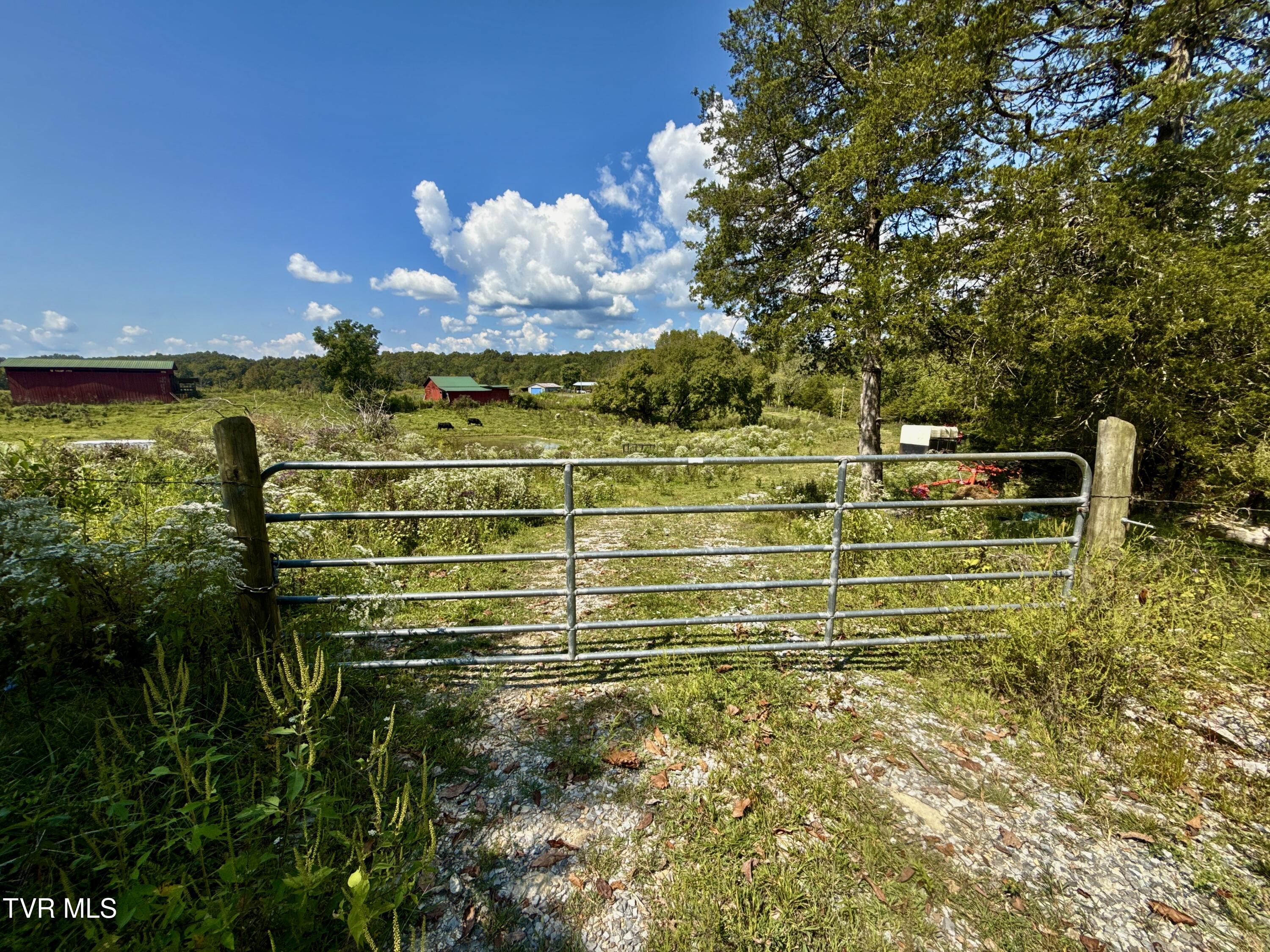 2114 Powell River Road Tazewell, TN 37879 - Photo 72 of 122 _Pic71 (8)
