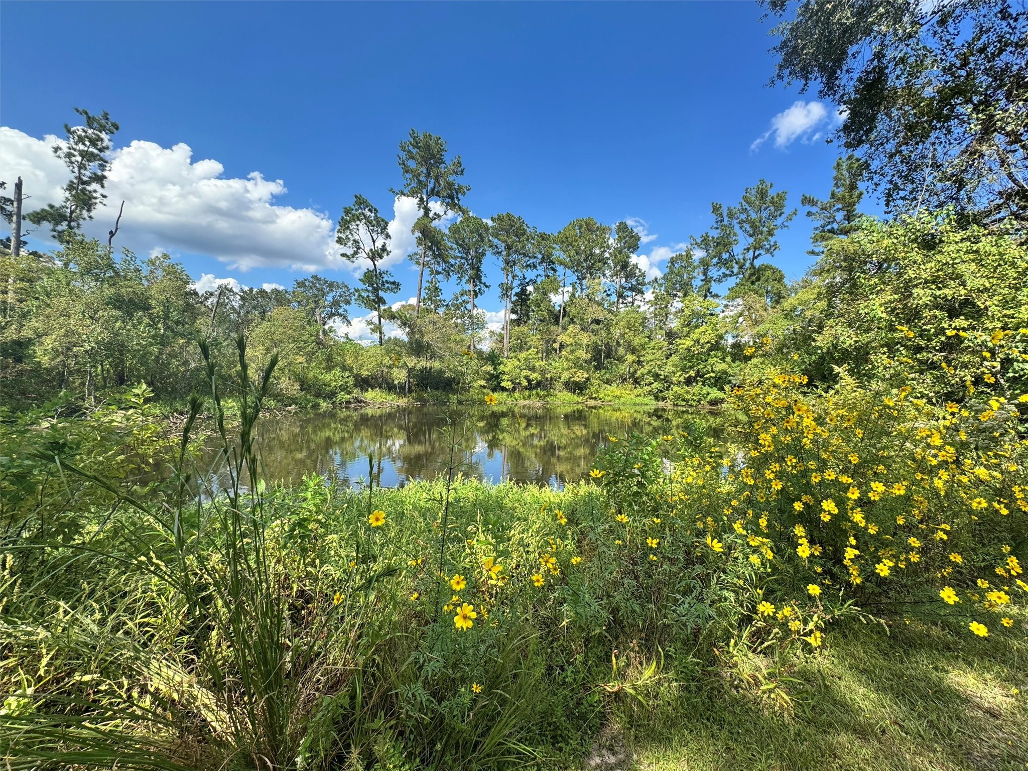 24030 Hegar Road Hockley, TX 77447 - Photo 1 of 40 This peaceful pond is the centerpiece of the property—ideal for fishing, attracting ducks and other wildlife, or simply enjoying the serene view under the shade of the surrounding oaks. Whether you envision quiet mornings with a fishing pole in hand, creating a water source for livestock, or enhancing the property as a recreational retreat, this pond provides endless opportunities.