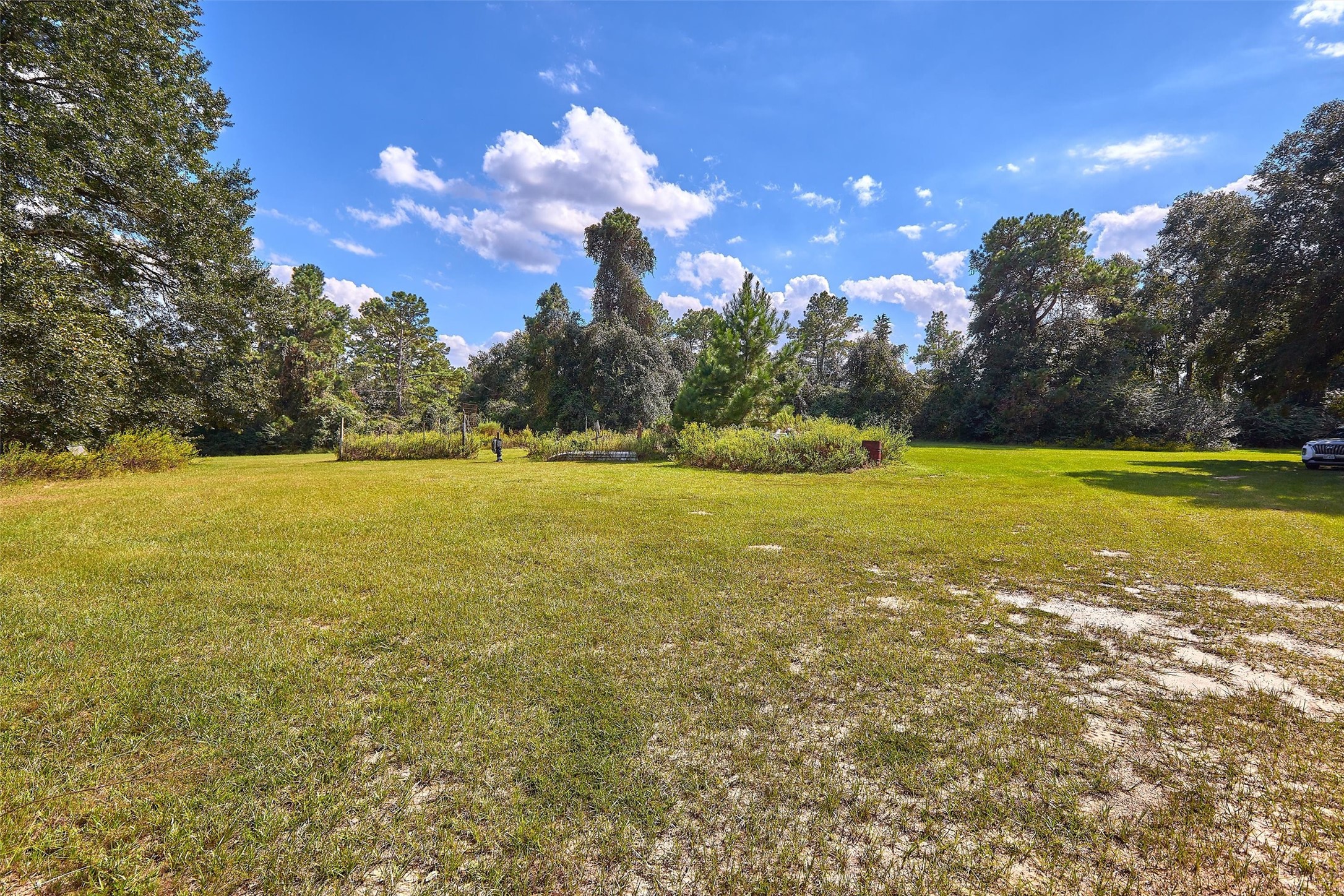 24030 Hegar Road Hockley, TX 77447 - Photo 23 of 40