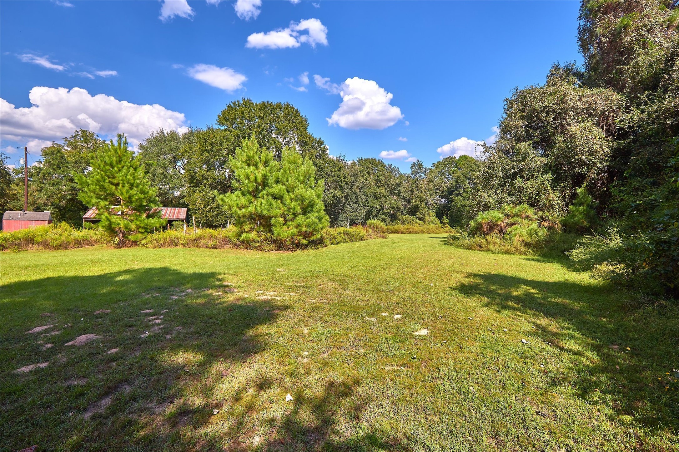 24030 Hegar Road Hockley, TX 77447 - Photo 25 of 40