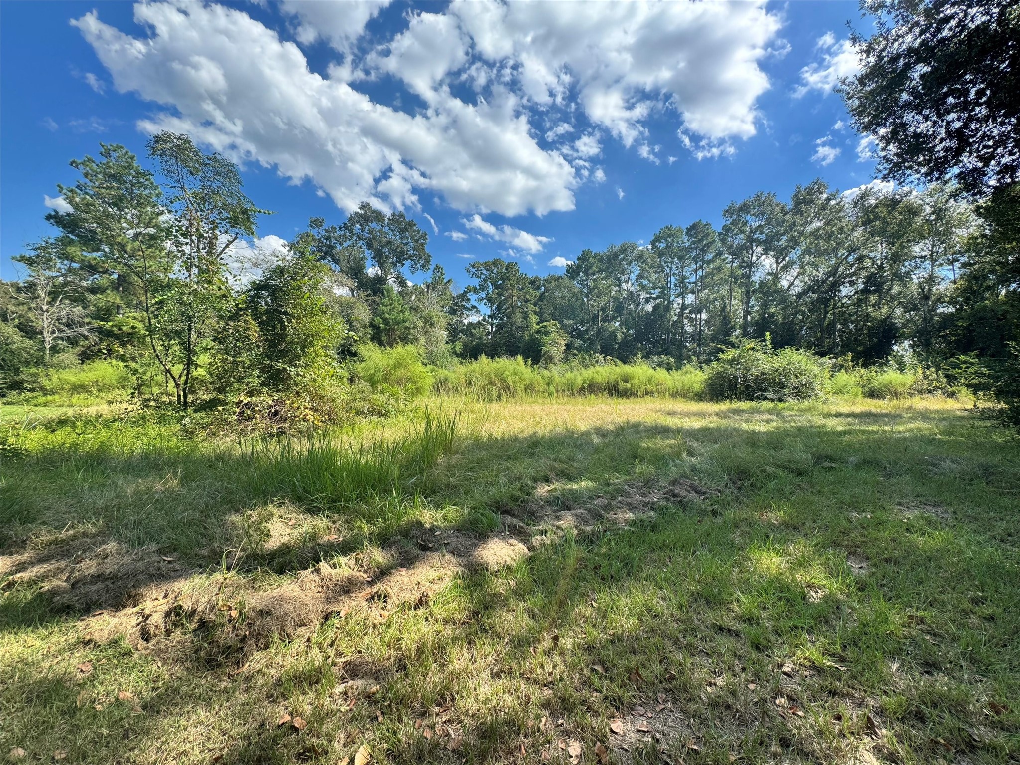 24030 Hegar Road Hockley, TX 77447 - Photo 27 of 40