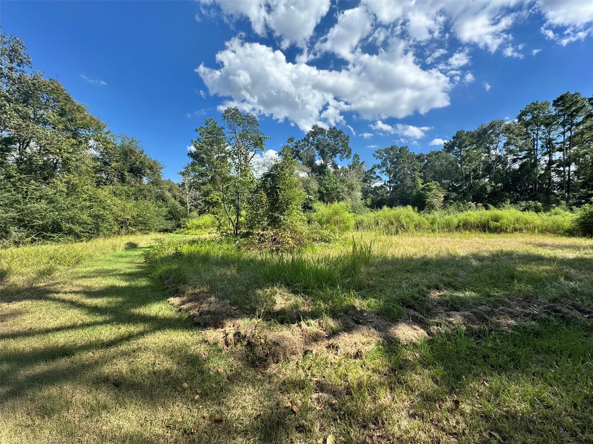 24030 Hegar Road Hockley, TX 77447 - Photo 28 of 40