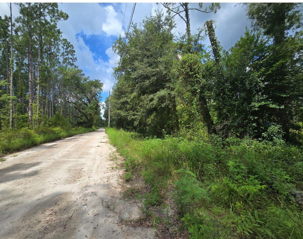 4838 Grantham Hill Road Perry, FL 32347 - Photo 3 of 6 Gallery Image 3