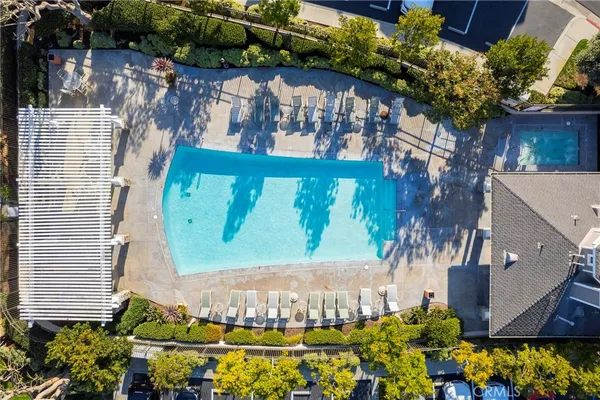 a view of a palm tree next to a palm tree