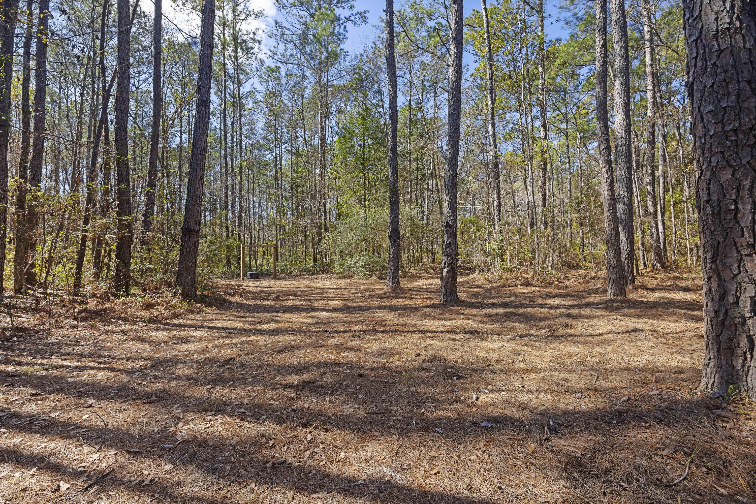 9168 Old Georgetown Road McClellanville, SC 29458 - Photo 28 of 45 243A0234