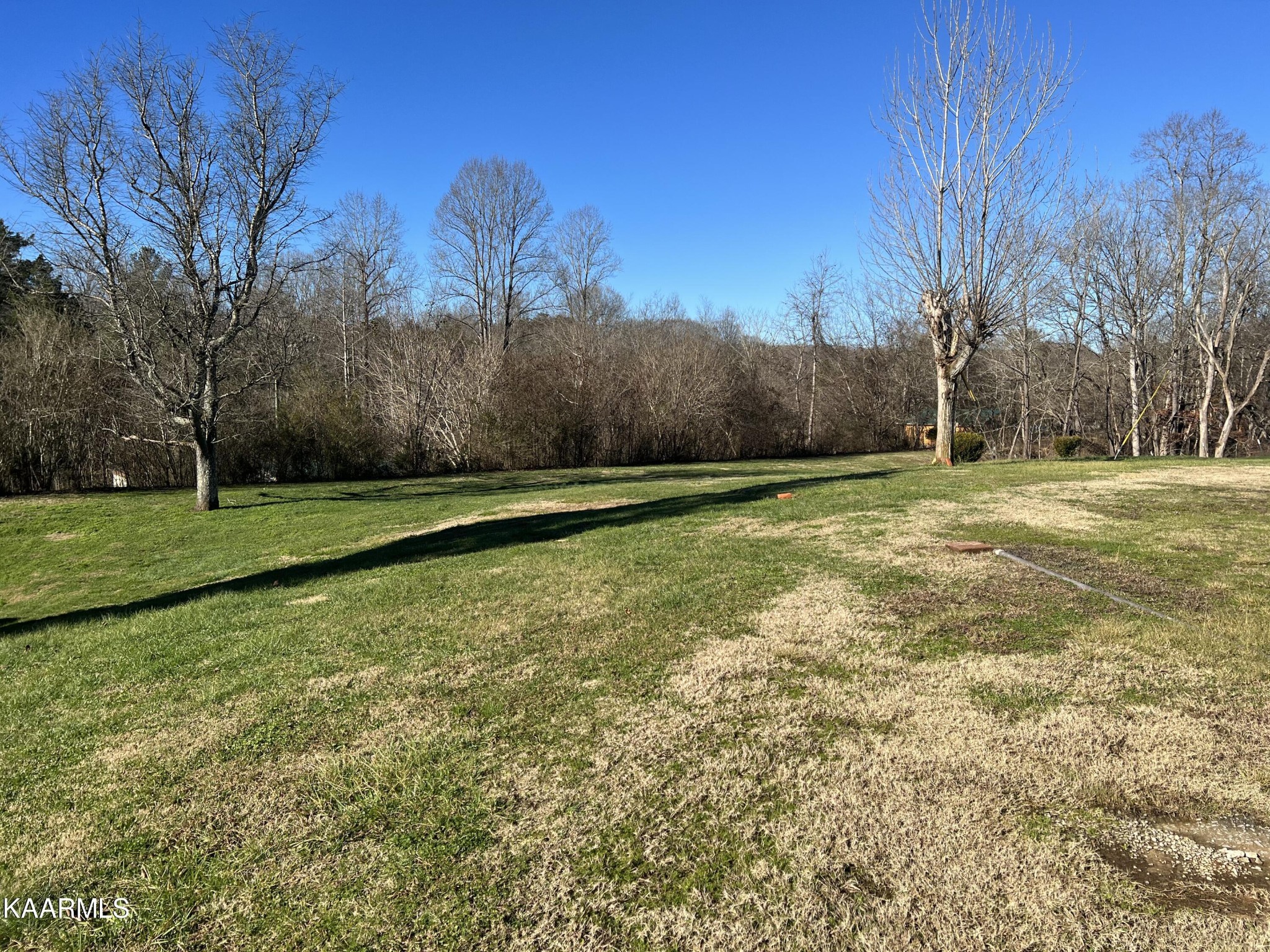 412 Old State Road Tellico Plains, TN 37385 - Photo 16 of 24 Gallery Image 16