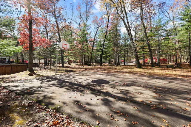 a view of road with trees
