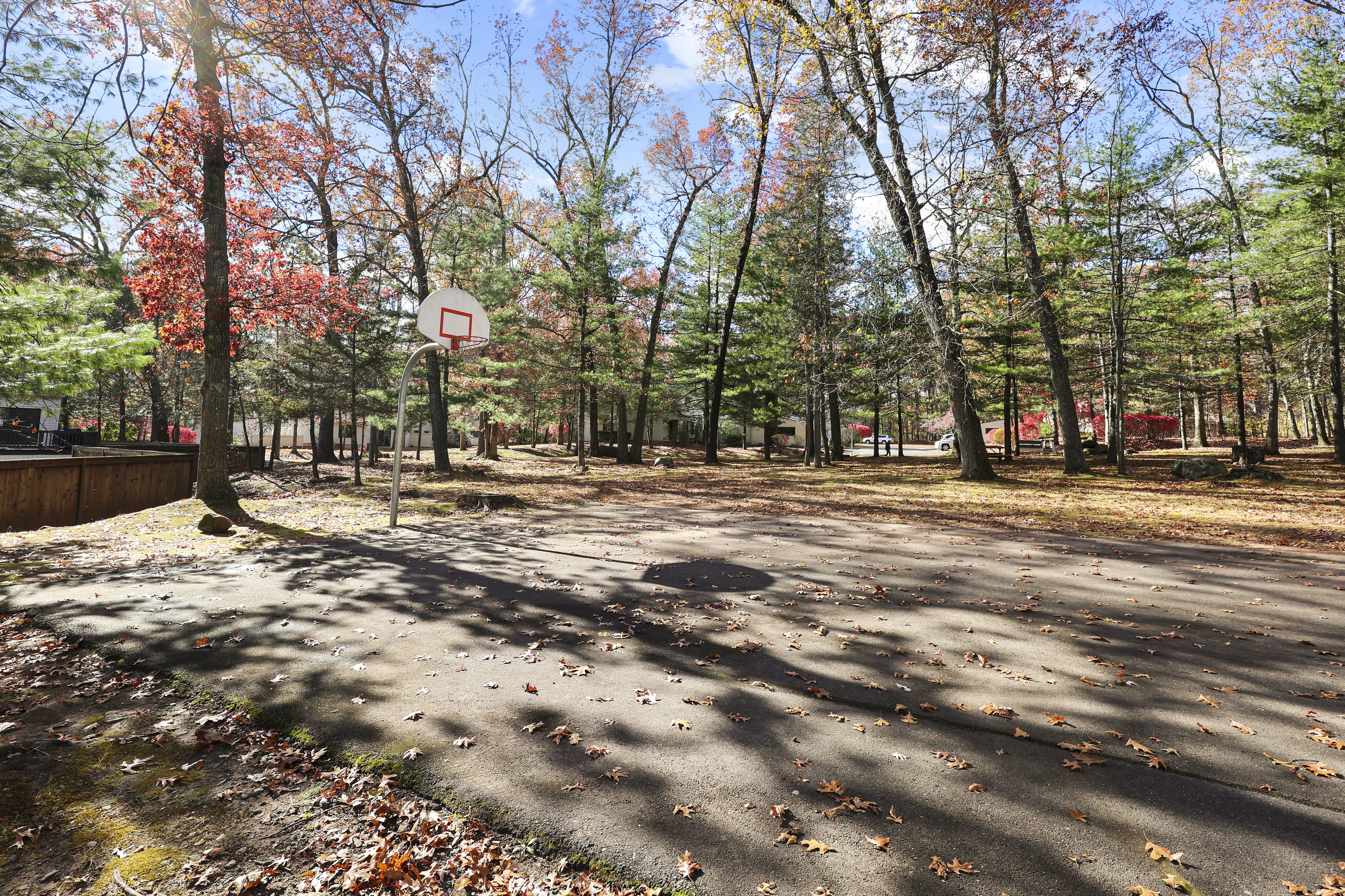27 Farmington Chase Crescent Farmington, CT 06032 - Photo 35 of 39 a view of road with trees