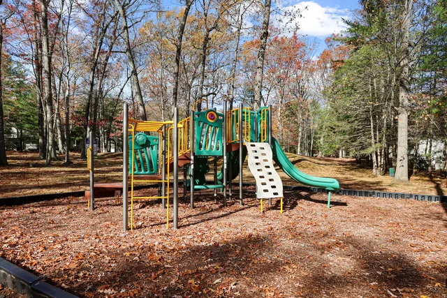a park with bench and trees