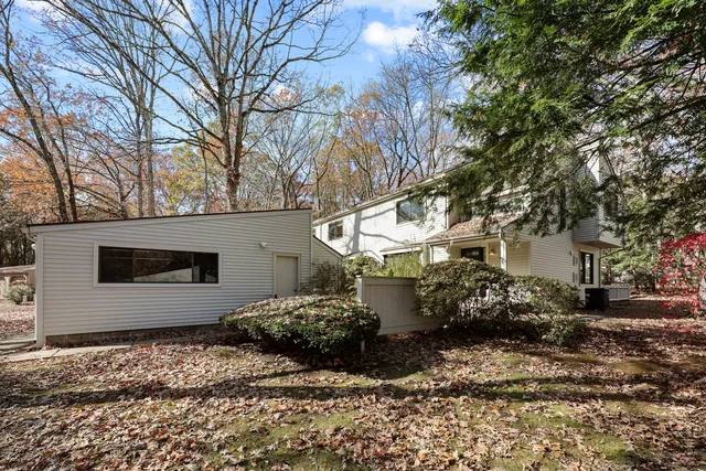 a view of a backyard with plants and large tree