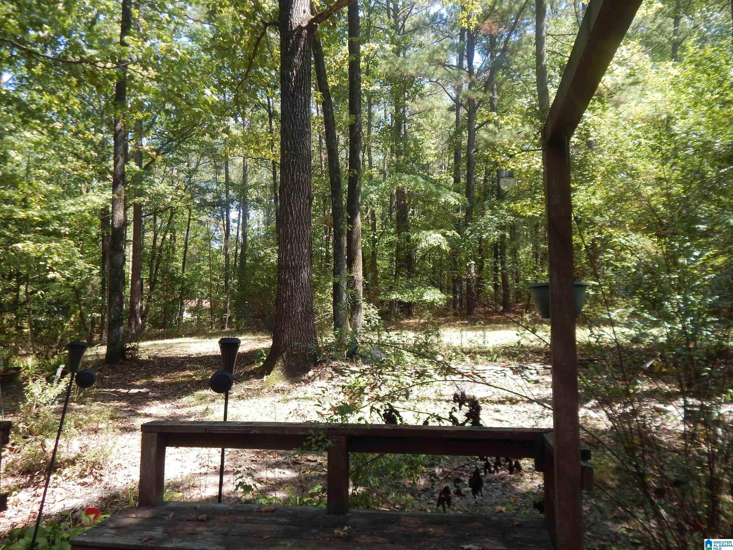 104 Giles Road Woodstock, AL 35188 - Photo 2 of 36