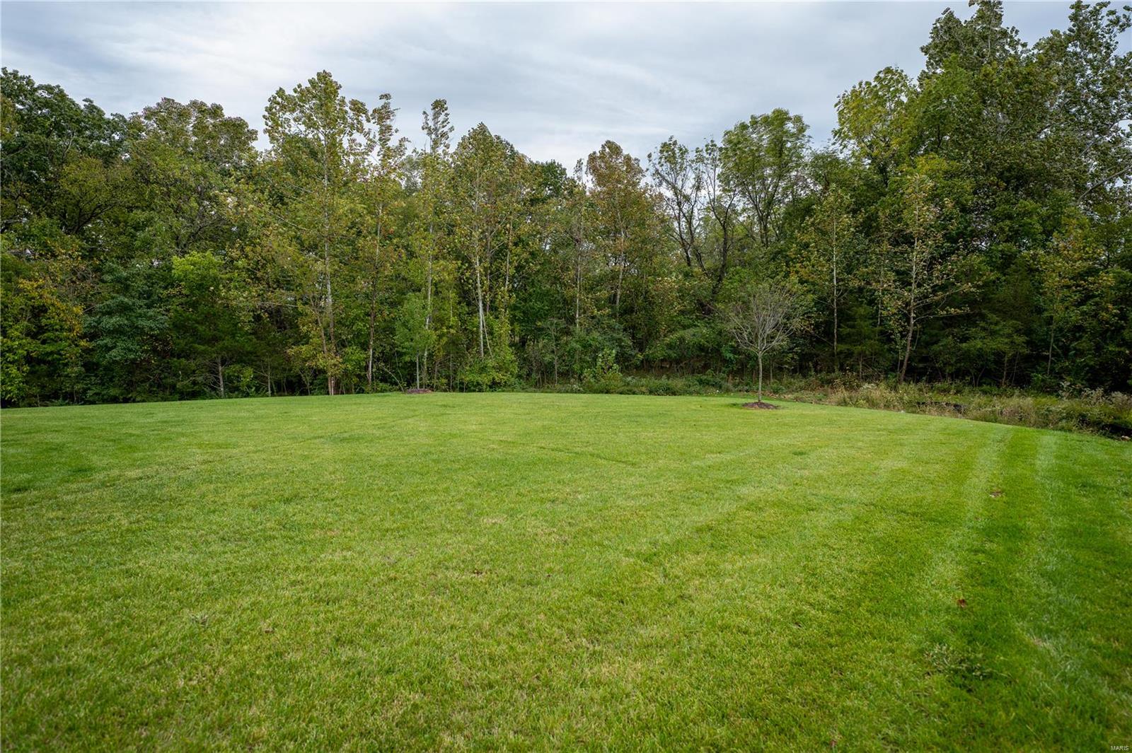 912 Memsie Pk Court O'Fallon, MO 63368 - Photo 45 of 60 Gallery Image 45