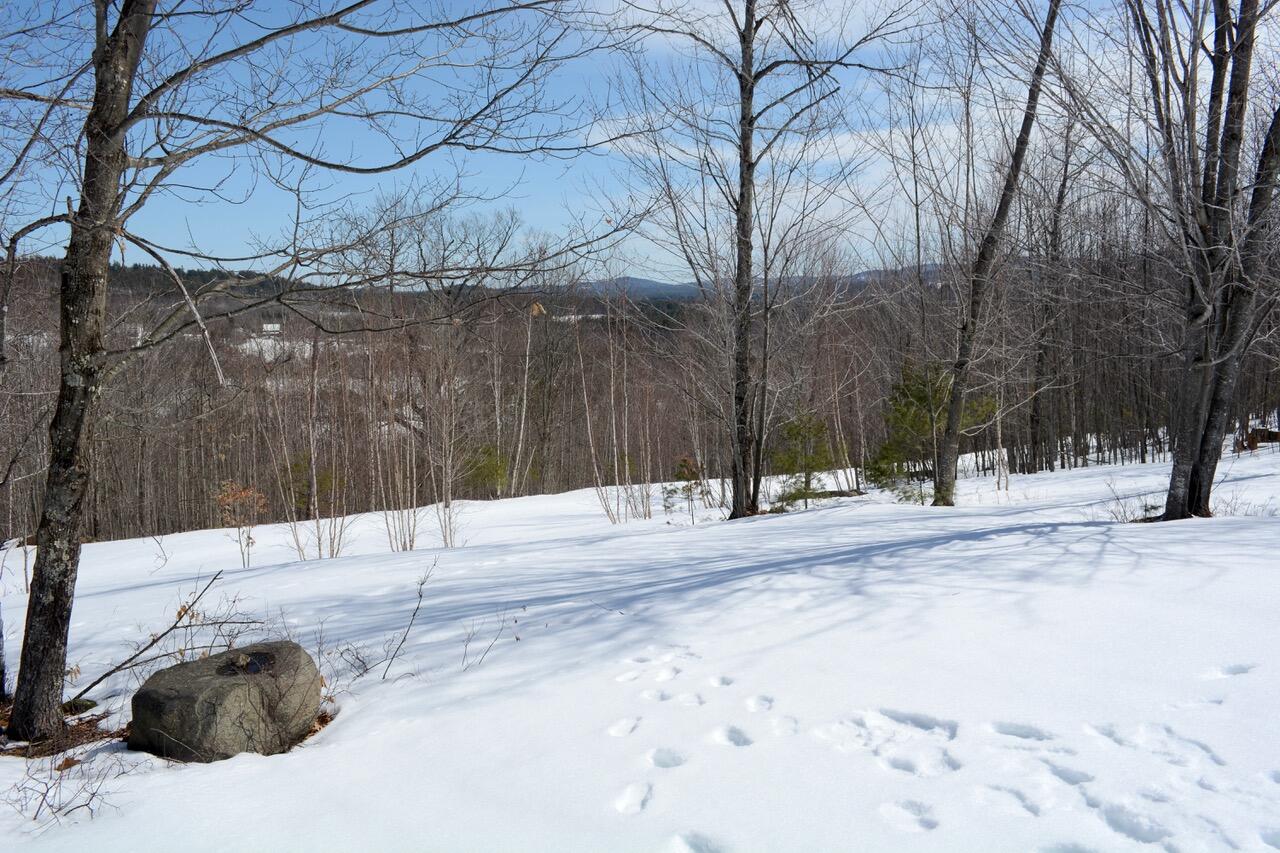 0 Durgintown Road Hiram, ME 04041 - Photo 6 of 22 DSC_0338