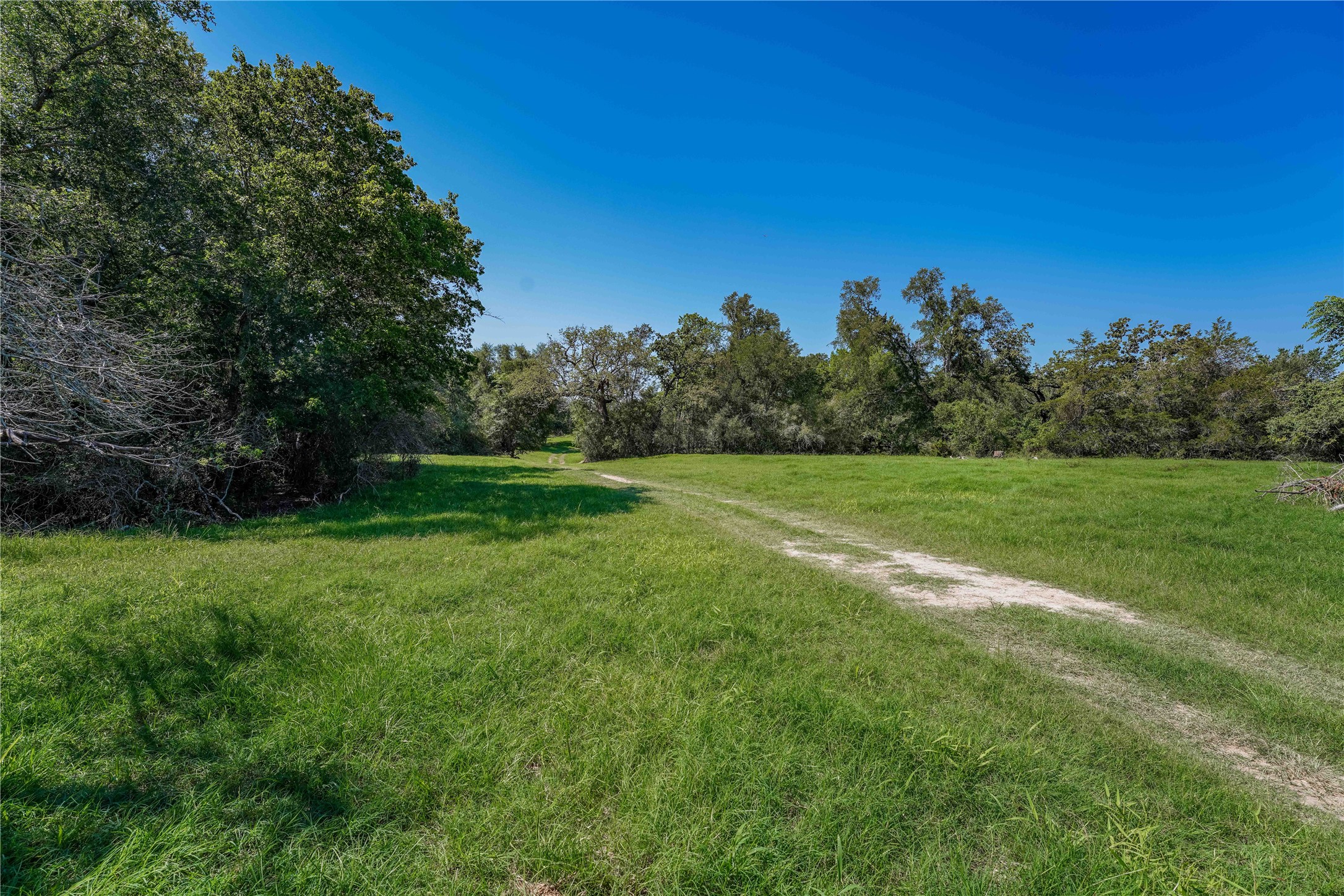 Tbd Warda Church Road Giddings, TX 78942 - Photo 23 of 29