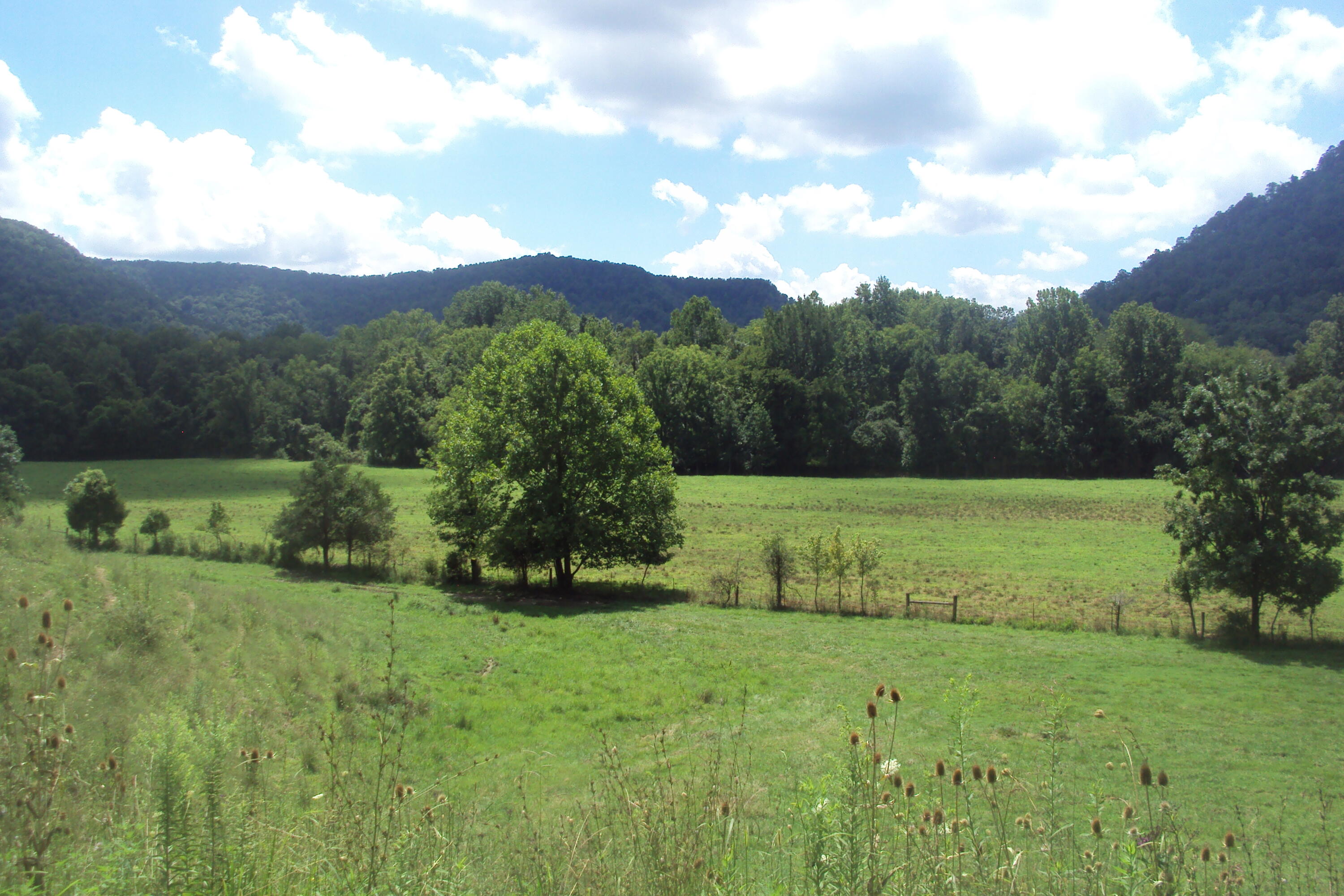 1 Red Lick Road Irvine, KY 40336 - Photo 9 of 48 DSC03944